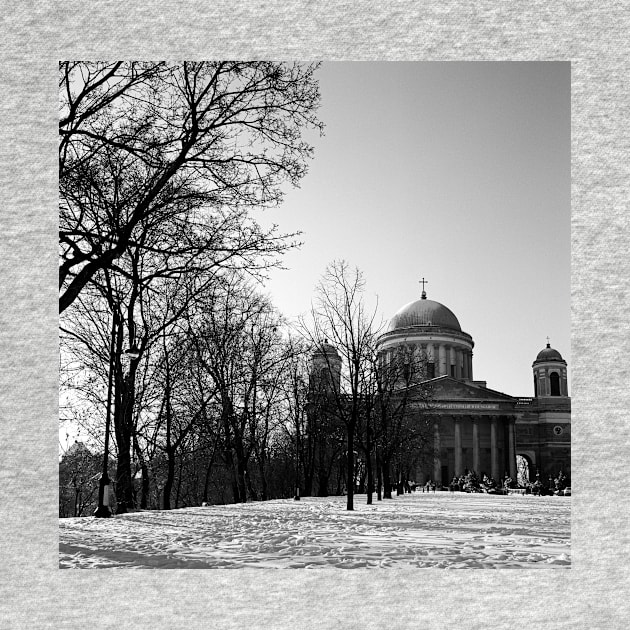 Basilica, Esztergom Hungary by rodneyj46